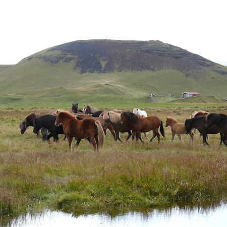 Guesthouse Vellir Vik i Myrdal Екстер'єр фото