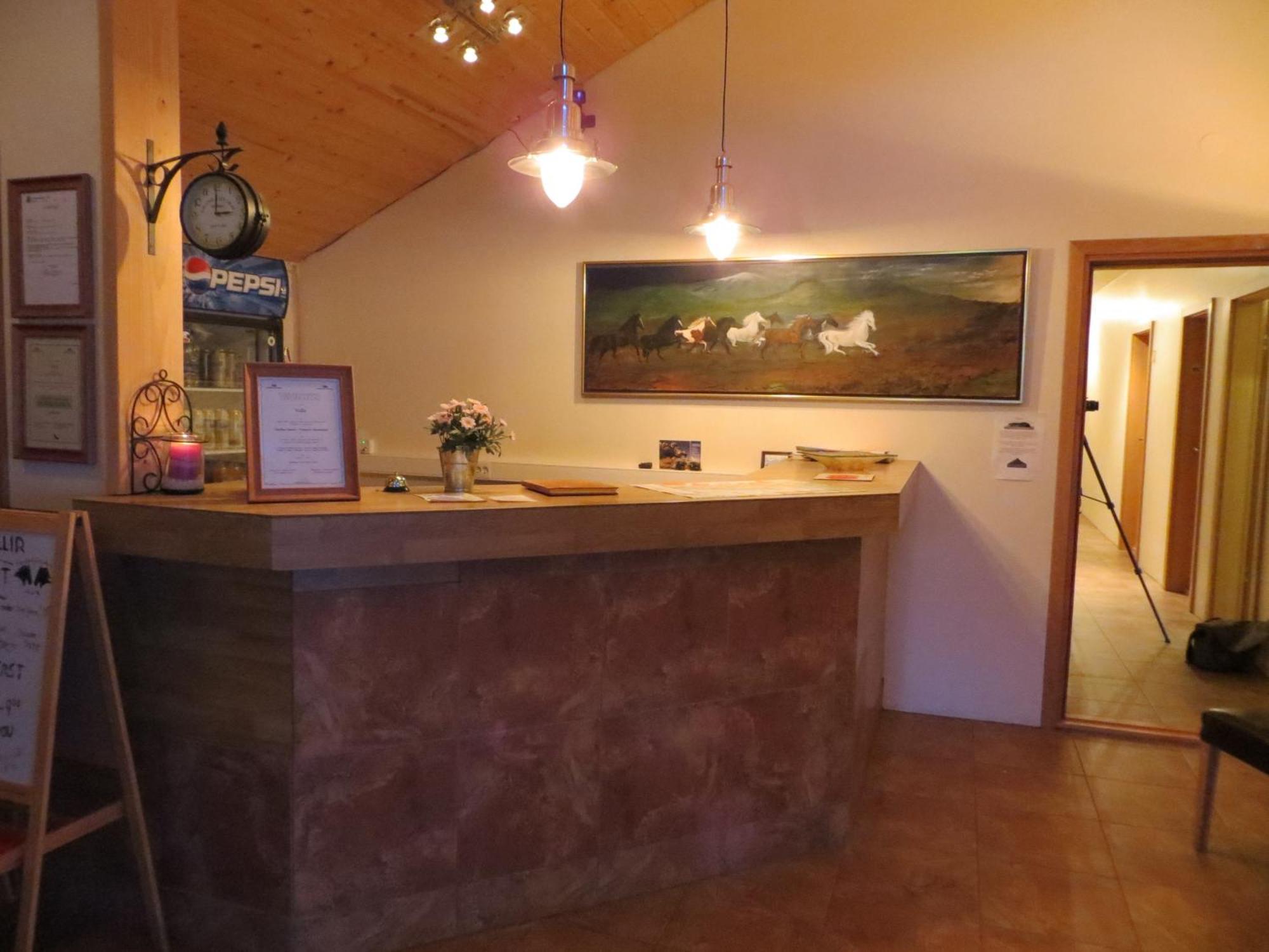Guesthouse Vellir Vik i Myrdal Екстер'єр фото